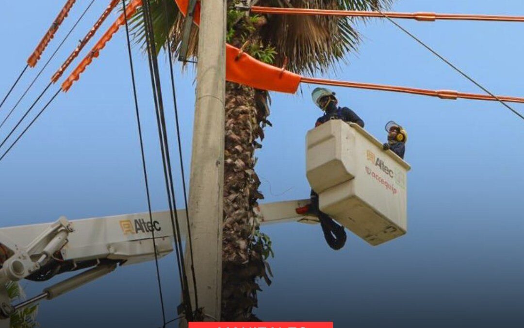 ASÍ FUNCIONA EL OPERATIVO DE PODA DEEMAS QUE MANTIENE SEGUROS LOS ÁRBOLES DE MANIZALES.