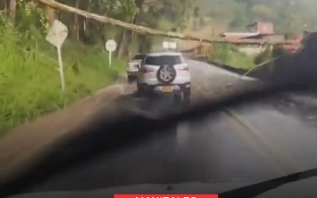 CIERRE EN LA VÍA ANTIGUA MANIZALES – CHINCHINÁ POR CAÍDA DE UN ÁRBOL.